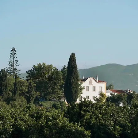 Liberal Wing Villa